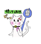 salmon cat（個別スタンプ：40）