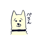 Pero and Noro（個別スタンプ：17）