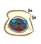 a iife of fat siames cat（個別スタンプ：1）