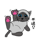 a iife of fat siames cat（個別スタンプ：10）