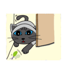 a iife of fat siames cat（個別スタンプ：11）