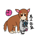 a iife of fat siames cat（個別スタンプ：12）