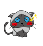 a iife of fat siames cat（個別スタンプ：16）