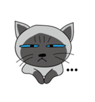 a iife of fat siames cat（個別スタンプ：17）