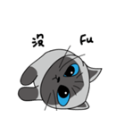 a iife of fat siames cat（個別スタンプ：22）