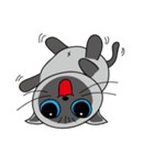 a iife of fat siames cat（個別スタンプ：25）