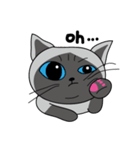 a iife of fat siames cat（個別スタンプ：26）