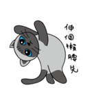 a iife of fat siames cat（個別スタンプ：29）