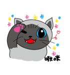 a iife of fat siames cat（個別スタンプ：30）