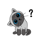 a iife of fat siames cat（個別スタンプ：31）