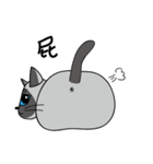 a iife of fat siames cat（個別スタンプ：32）