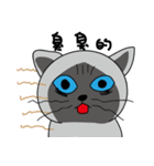 a iife of fat siames cat（個別スタンプ：39）