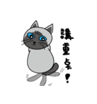 a iife of fat siames cat（個別スタンプ：40）