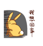 Ugly rabbit by BiBi（個別スタンプ：19）