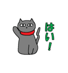 黒猫のステア君（個別スタンプ：1）