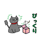 黒猫のステア君（個別スタンプ：12）