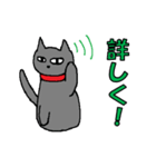 黒猫のステア君（個別スタンプ：21）