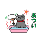 黒猫のステア君（個別スタンプ：37）