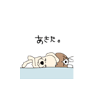 みるきーとまっしゅ（個別スタンプ：25）