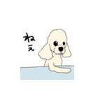 みるきーとまっしゅ（個別スタンプ：31）