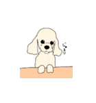 みるきーとまっしゅ（個別スタンプ：33）