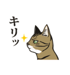 使える☆猫のサランと愛之助（個別スタンプ：28）