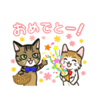 使える☆猫のサランと愛之助（個別スタンプ：35）