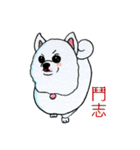 めめ（個別スタンプ：5）