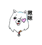 めめ（個別スタンプ：40）