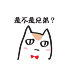 Cat say！-Working is hard（個別スタンプ：5）