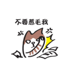 Cat say！-Working is hard（個別スタンプ：12）