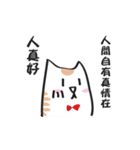 Cat say！-Working is hard（個別スタンプ：30）