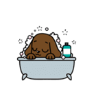 Miss Muddy Puppy（個別スタンプ：30）