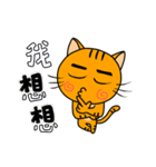 Little Orange cat（個別スタンプ：3）