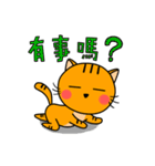 Little Orange cat（個別スタンプ：8）