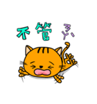 Little Orange cat（個別スタンプ：12）