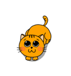 Little Orange cat（個別スタンプ：32）