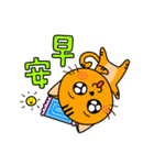 Little Orange cat（個別スタンプ：35）