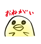 ぴよす（個別スタンプ：13）