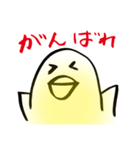 ぴよす（個別スタンプ：16）