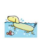 Funny Daily life of Burbur（個別スタンプ：2）