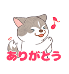 まいにちハスキー（個別スタンプ：1）
