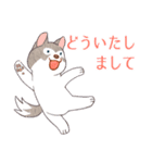 まいにちハスキー（個別スタンプ：2）