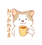 まいにちハスキー（個別スタンプ：3）