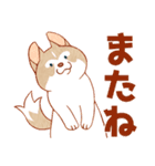 まいにちハスキー（個別スタンプ：5）