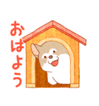 まいにちハスキー（個別スタンプ：6）