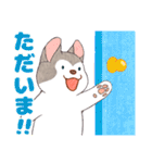 まいにちハスキー（個別スタンプ：10）