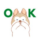 まいにちハスキー（個別スタンプ：16）