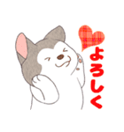 まいにちハスキー（個別スタンプ：19）
