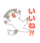 まいにちハスキー（個別スタンプ：21）